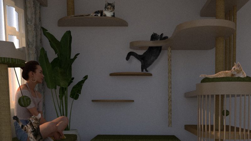 Cats1