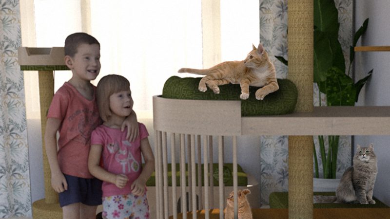 Cats2